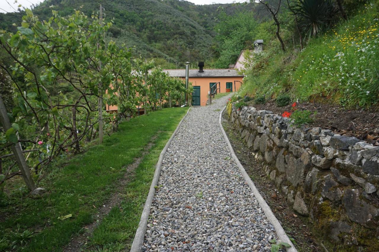 Agriturismo U Muinettu La Spezia Exterior photo