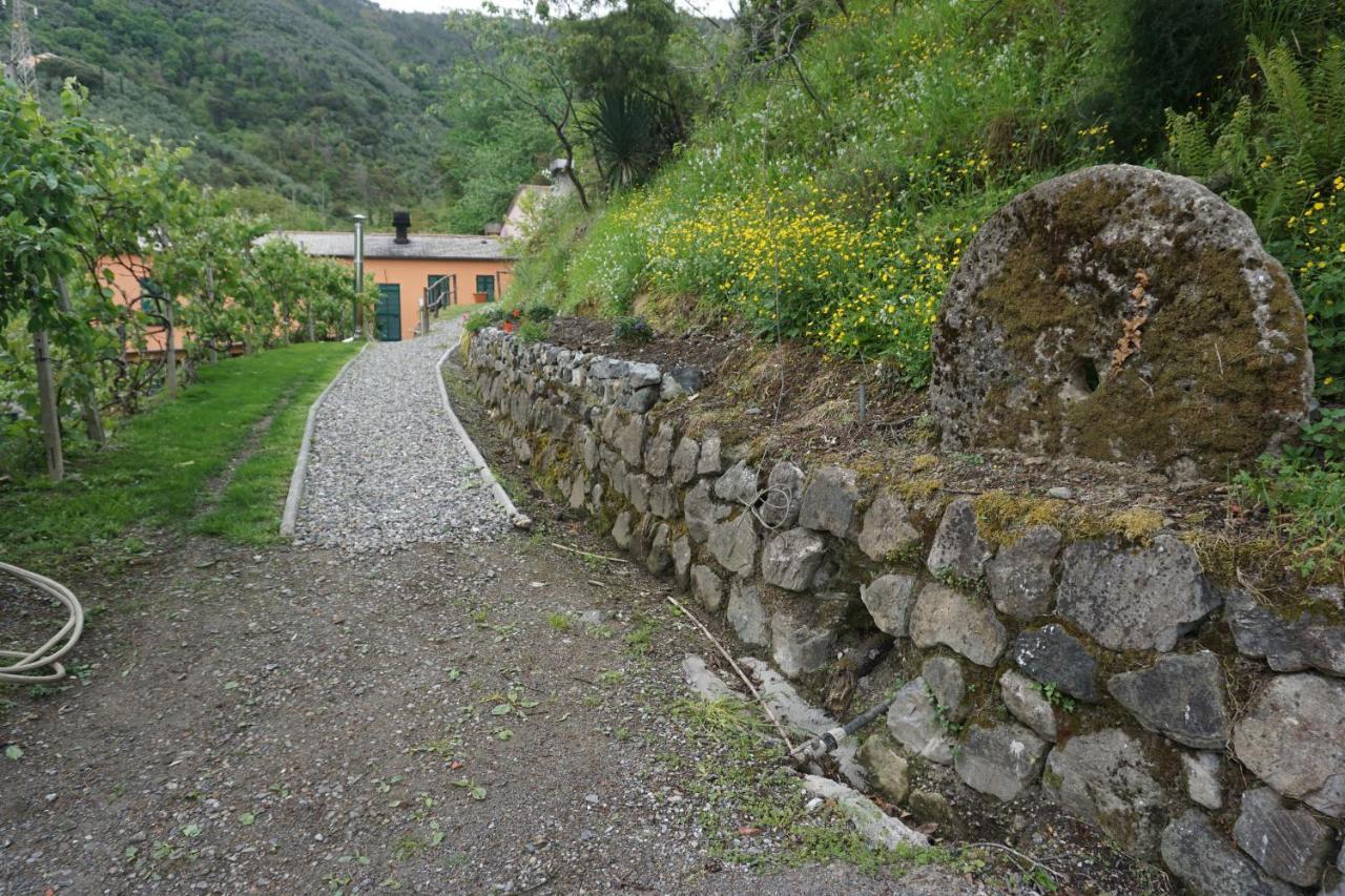 Agriturismo U Muinettu La Spezia Exterior photo